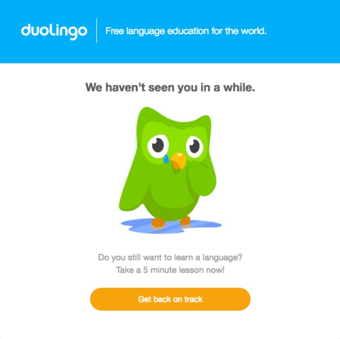 Customer win-back campaign example by Duolingo
